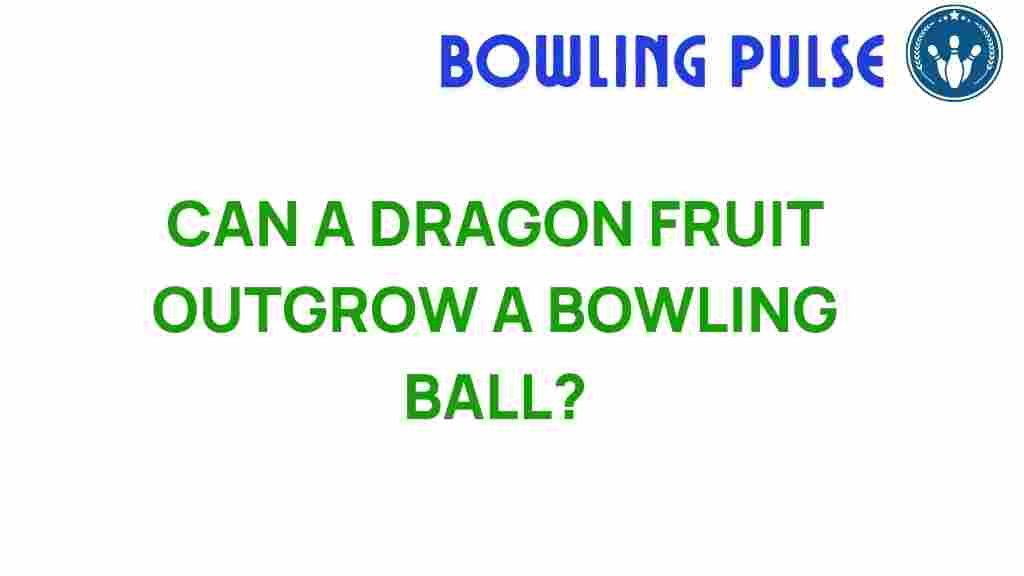 dragon-fruit-growth-bowling-ball