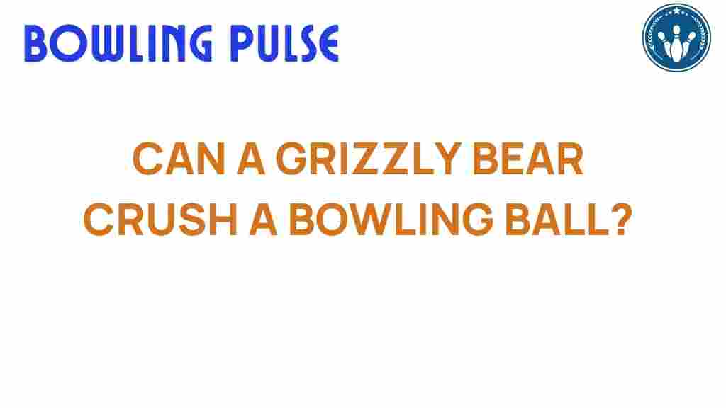grizzly-bear-crush-bowling-ball