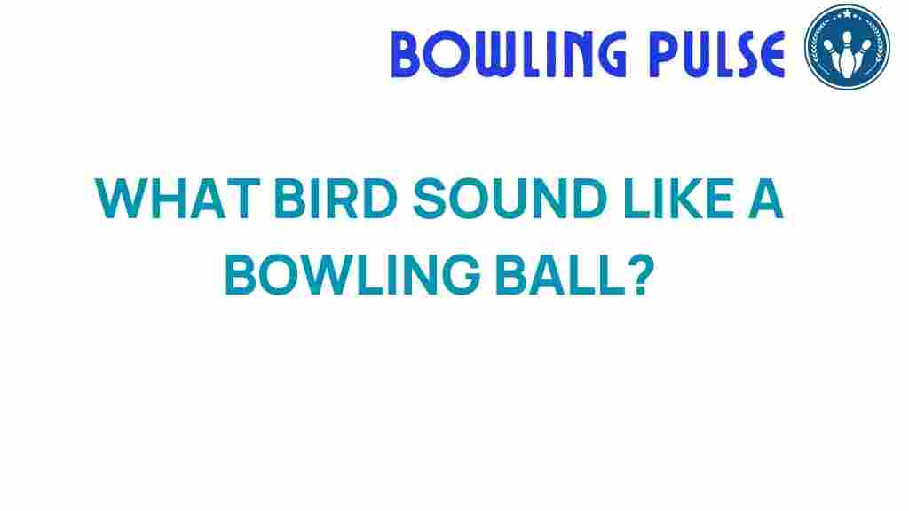 discover-bird-sound-like-bowling-ball