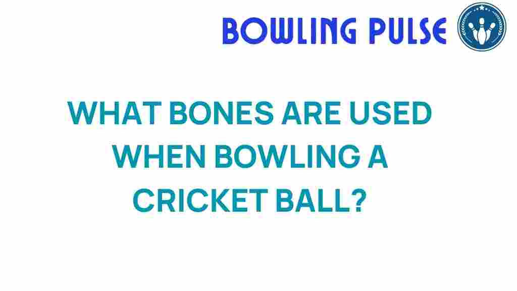 cricket-bowling-bones-anatomy